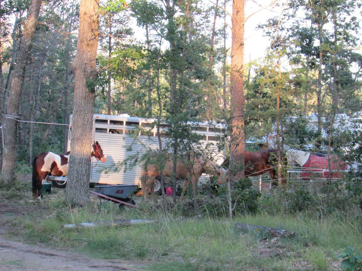 Best Bear Lodge & Campground Irons Exterior photo